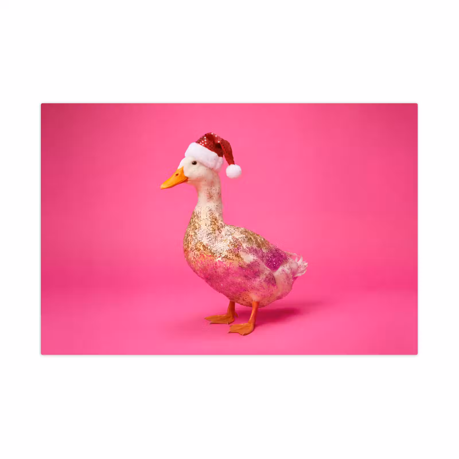 Speelkleed - Vogel - Kerst - Roze — 1