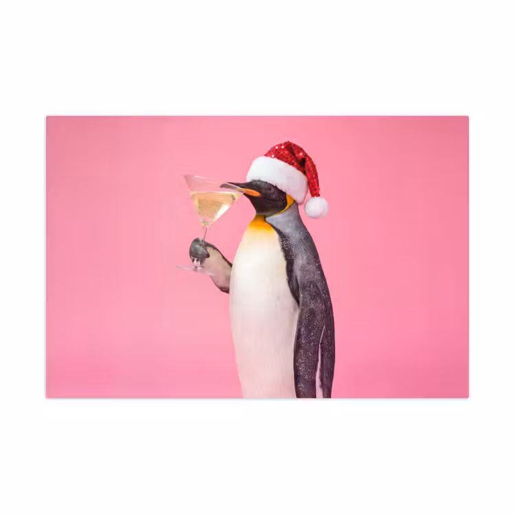 Speelkleed - Pinguïn - Kerst - Feest — 1