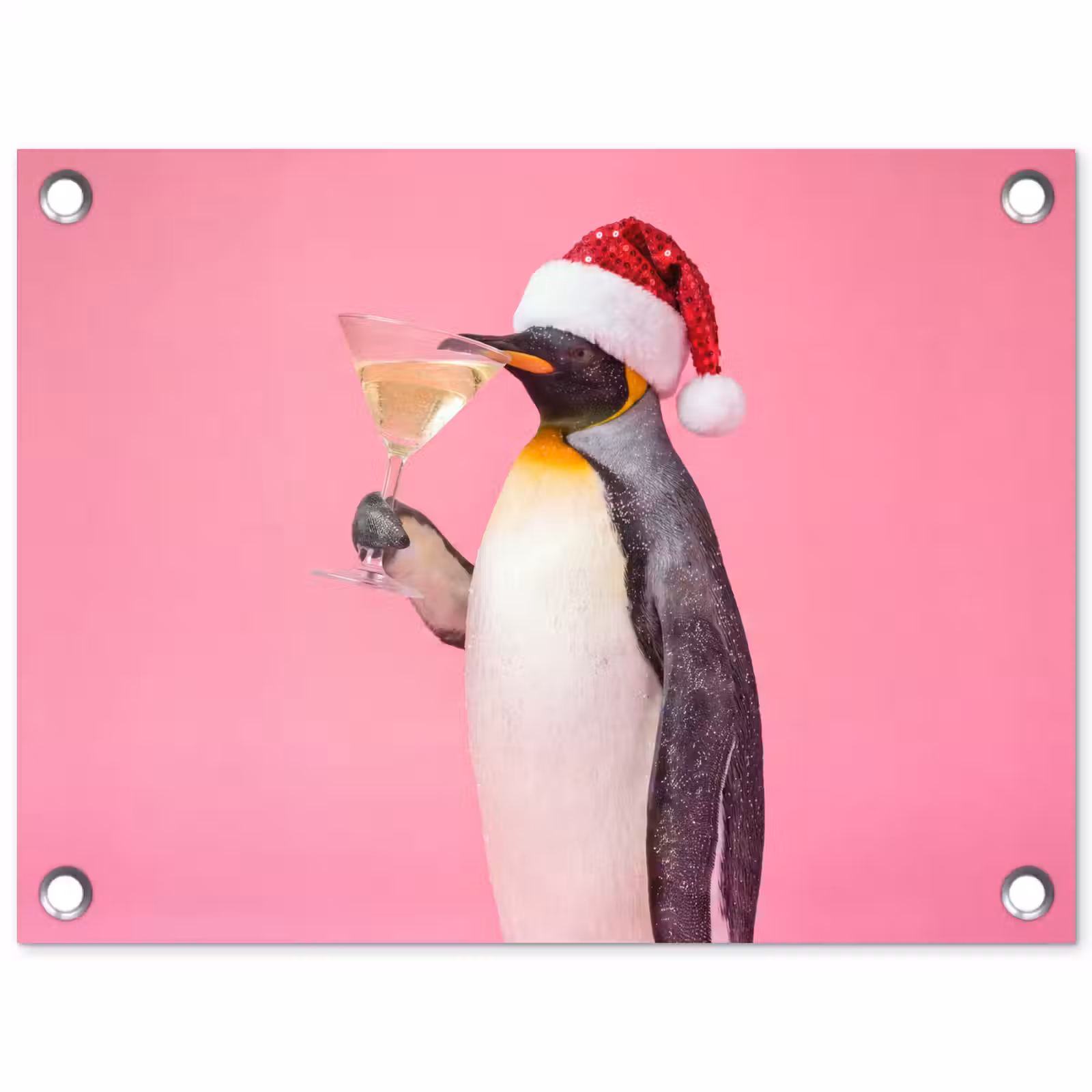 Tuinposter - Pinguïn - Kerst - Feest — 1