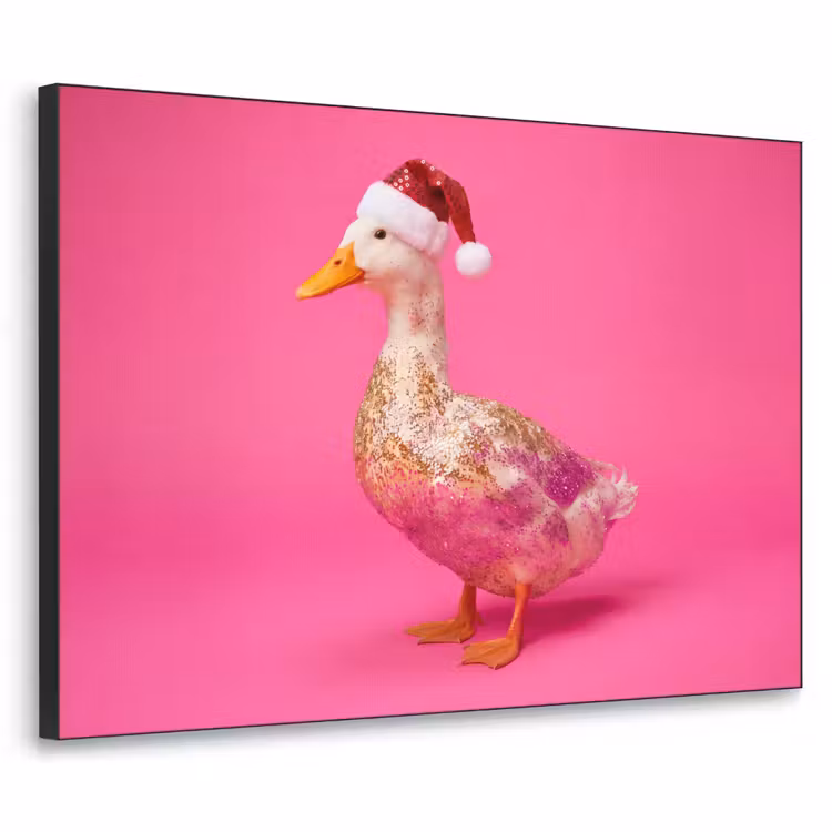 Art frame - Vogel - Kerst - Roze — 1