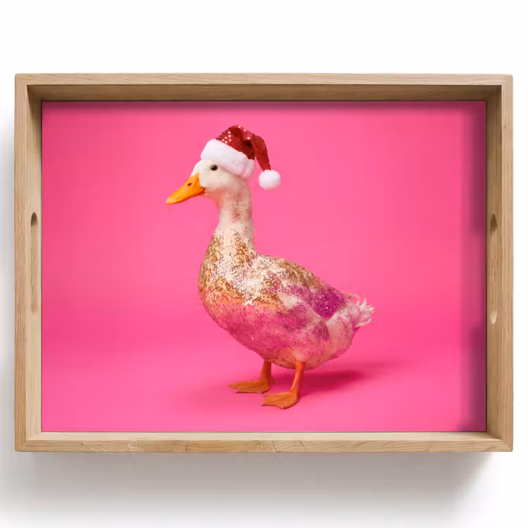 Dienblad - Vogel - Kerst - Roze — 1