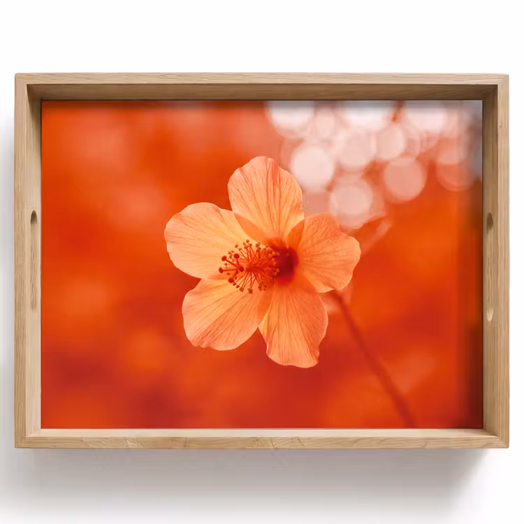 Dienblad - Oranje bloem - Macro — 1