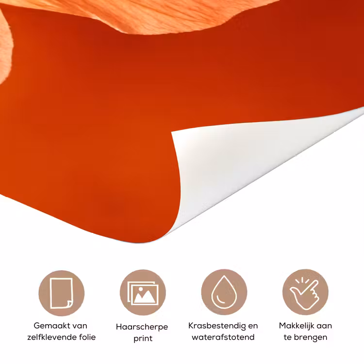 Deursticker - Oranje bloem - Macro — 3