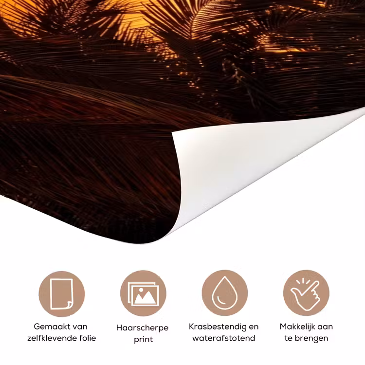 Deursticker - Palmen - Zonsondergang - Oranje — 3