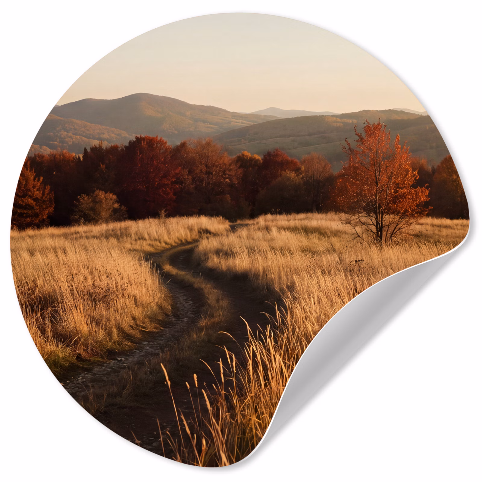 Behangcirkel - Pad - Herfst - Natuur — 1