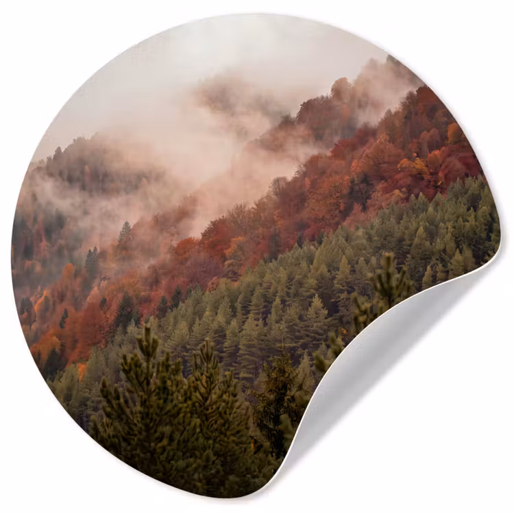 Behangcirkel - Bos - Mist - Natuur — 1
