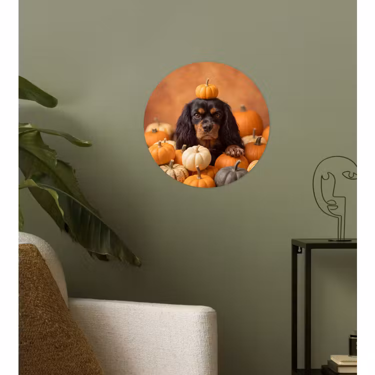 Behangcirkel - Hond - Pompoen - Herfst — 3