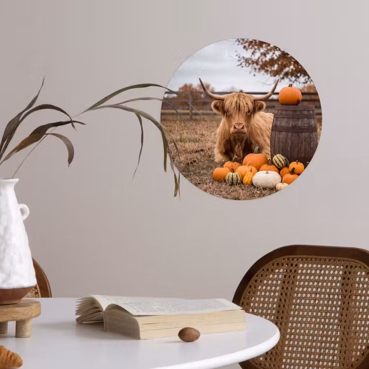 Behangcirkel - Rund - Pompoen - Herfst — 4