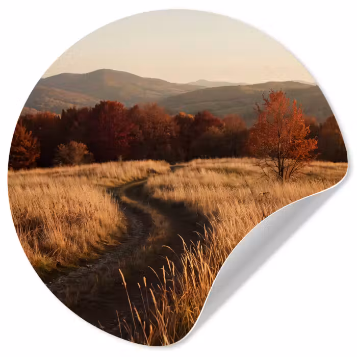 Behangcirkel - Pad - Herfst - Natuur